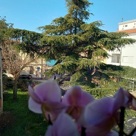 Apartment Luka فاجانا المظهر الخارجي الصورة