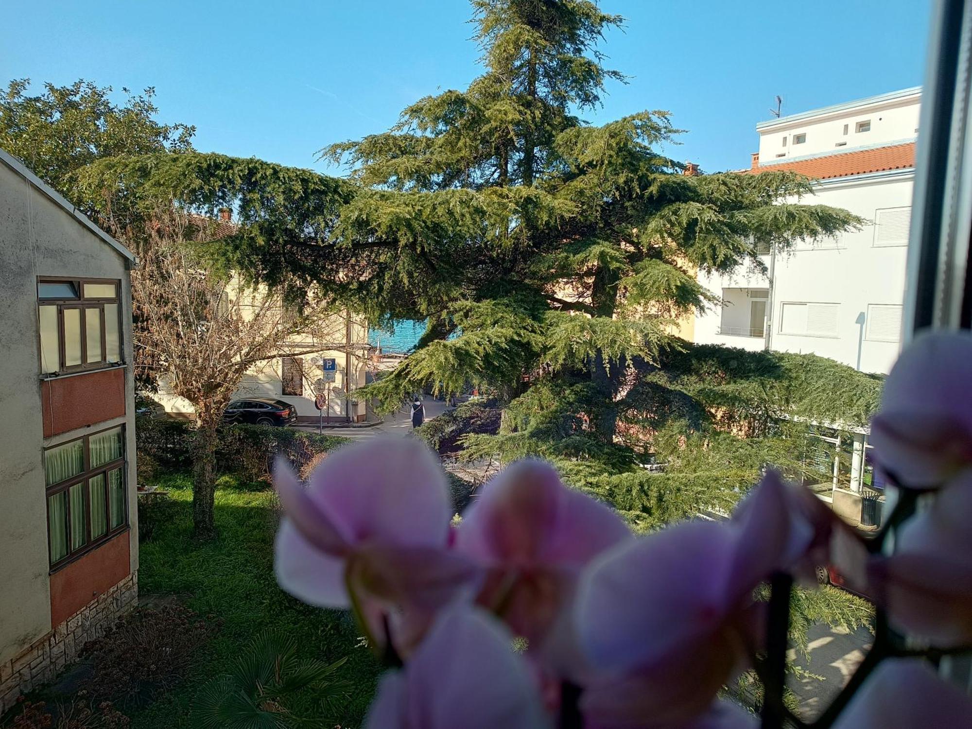 Apartment Luka فاجانا المظهر الخارجي الصورة